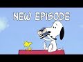 Snoopy And Woodstock Snoopy And Woodstock S Show BRAND NEW Peanuts Animation Compilation
