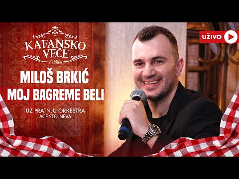 MILOS BRKIC - MOJ BAGREME BELI | UZIVO | ORK ACE STOJNEVA | 2024 | KAFANSKO VECE