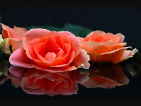 MARKO NOVOSEL - ZA JEDAN ČASAK RADOSTI