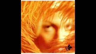 transmissions from a lonely room - stone temple pilots