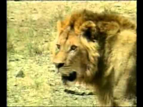 Sanatizmi - Mesimet gjakatare te djallit - Harun Yahya