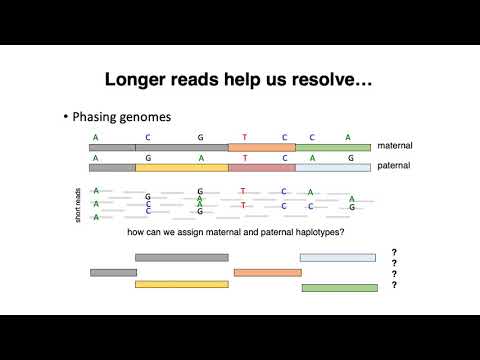 MCB 182 Lecture 2.5 - PacBio, Nanopore sequencing