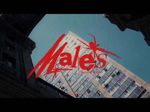 B Sanz - MALES (ft. @Realsantino ) | Video Oficial  #yacasieldisco
