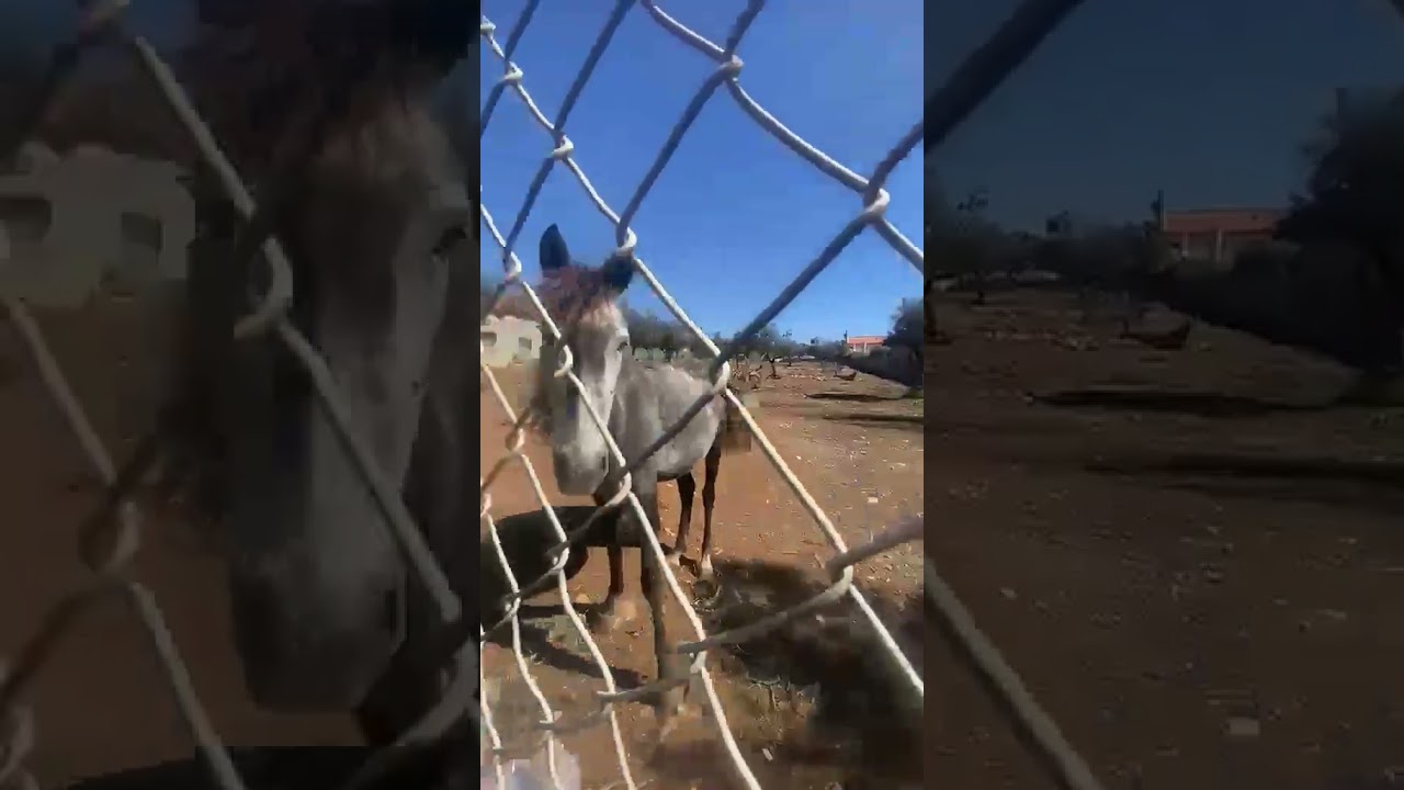 Vídeo do imóvel