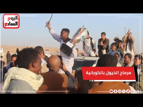 مرماح الخيول بالكوبانية.. سباقات الفرسان تُحيى التراث وتجمع القبائل.. ليالى تتحول إلى مهرجان سنوى