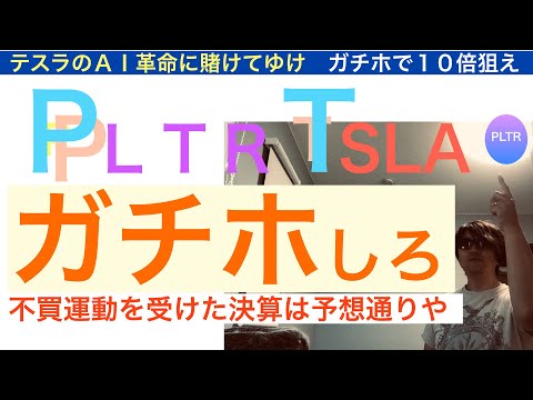 PLTRパランティアTSLAテスラ「ガチホしていけ」強い心を持て。不買運動で決算は悪いが予想通りだ。AI革命で株価は長期で急騰上昇する保有し続けろ【全力】株価テンバガー１００倍狙え