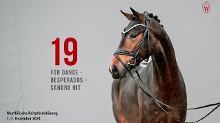 Video von Hengst von For Dance / Desperados