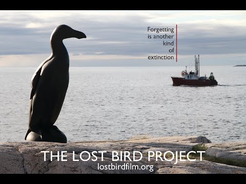 The Lost Bird Project Trailer