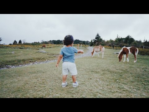 Damascus | Bristol | Abingdon | Sony a6400 | Super 8 Effect | Polar Pro + Peter McKinnon ND Filter