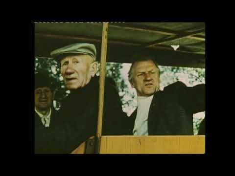 es geht ums wasser   melioration