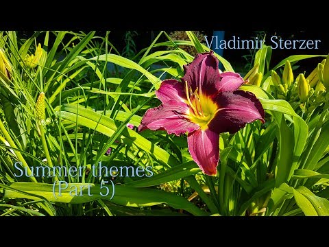 Summer themes (Part 5), Beautiful piano, Relaxing instrumental music, Vladimir Sterzer