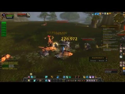 WoW gold farming 1k-20k gold per hour Tiny Crimson Whelpling