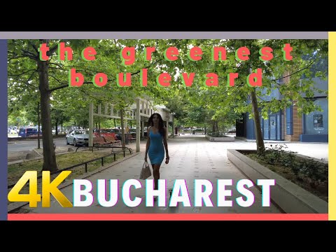 The most eco-friendly and green place in Bucharest. Walking on Unirii boulevard on a summer day