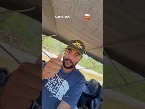 Onça-pintada é flagrada em momento tranquilo no Pantanal