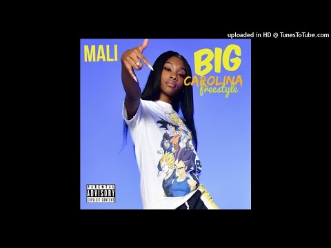[FREE] Big Mali x Stunna 4 Vegas x Rich Dunk Type Beat "Early Bird" | 2020