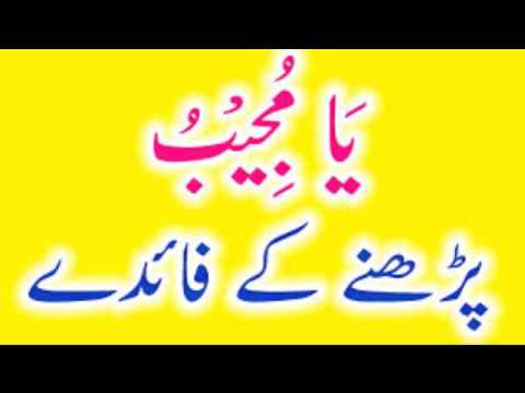 download lagu mp3 mp4 Ya Mujeebu, download lagu Ya Mujeebu gratis, unduh video klip Ya Mujeebu