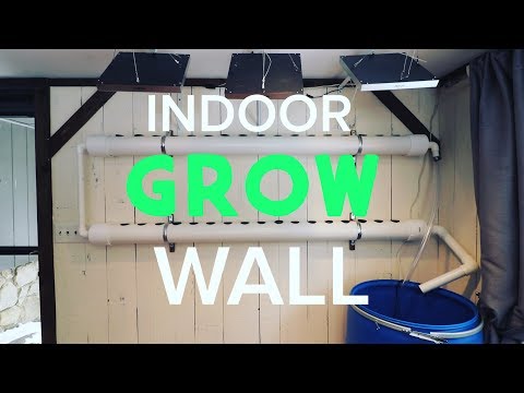 Build a Hydroponic Grow Wall Inside - Grow Plants Year Round and Save Money!
