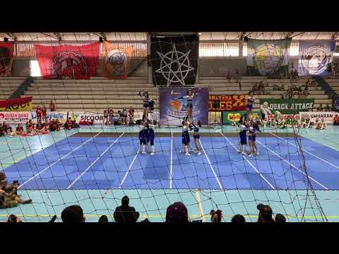 BEARLEADERS - Engenharíadas Paranaense 2019