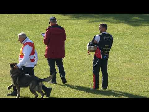 WUSV 2021 ITA 2 - FONTANA SALVATORE & HUNTER ZU DEN GRAUEN BIRKEN C 90