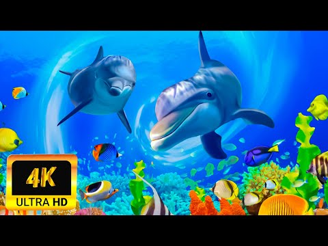 3 HOURS of 4K Underwater Wonders 🐠 Sea Animals With Relaxing Music | 4K UHD Video