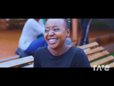 Dydda X Piyo 7300594 To 811 - Didi X Ben Cyco & Eko Dydda | RaveDj