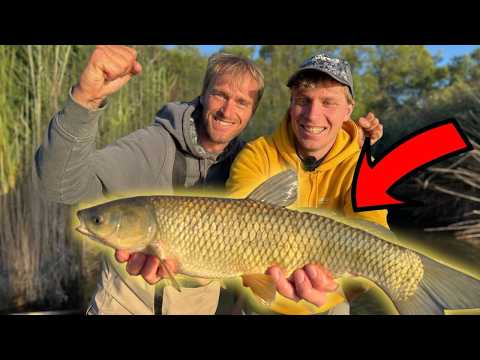 Jakub Vágner and Steven Gash