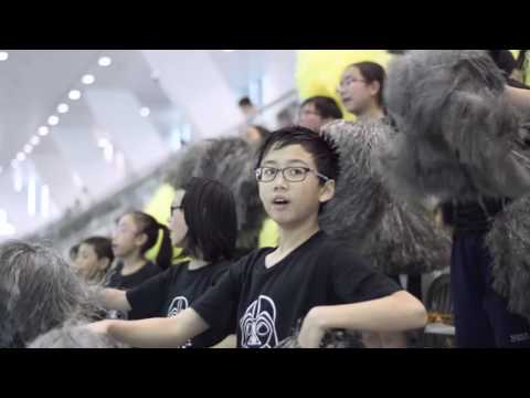 2016-2017 Swimming Gala Highlight