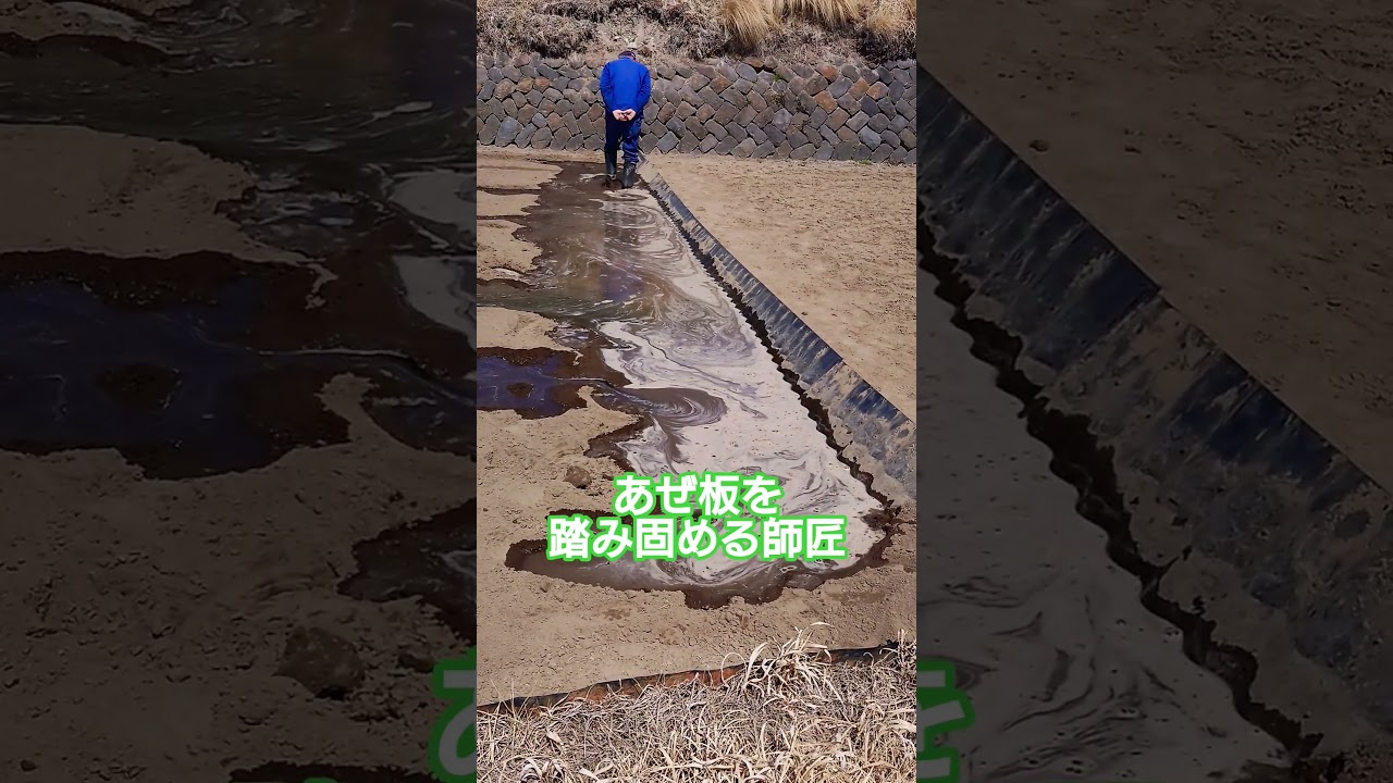 苗代田 作り #苗代　#苗作り