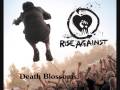 Rise Against - Death Blossoms - With Lyrics