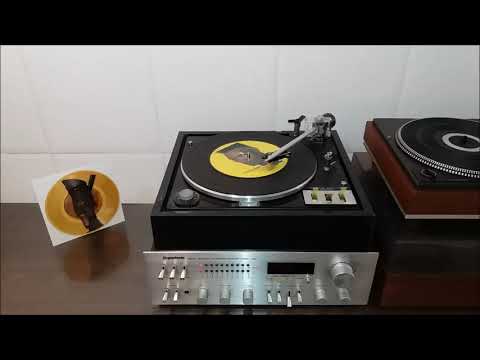 Grace Jones - Nipple to the bottle (Club Cut) / 7 inch - 45 rpm (Picture)