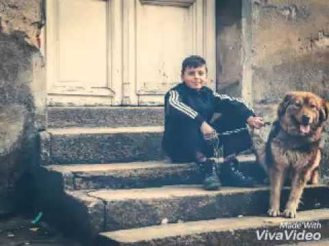 XiaoYing_Video_1461494009346.mp4