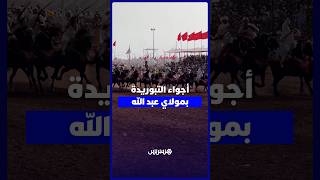 التبوريدة تجمع عشاق الفروسية بمولاي عبد الله thumbnail