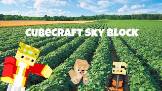 Trying out CubeCraft skyblock