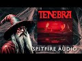 Tenebra By Spitfire Audio And The Newton Brothers A Deliciously Evil Horror Scoring Toolkit