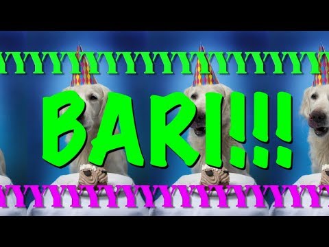 HAPPY BIRTHDAY BARI! - EPIC Happy Birthday Song