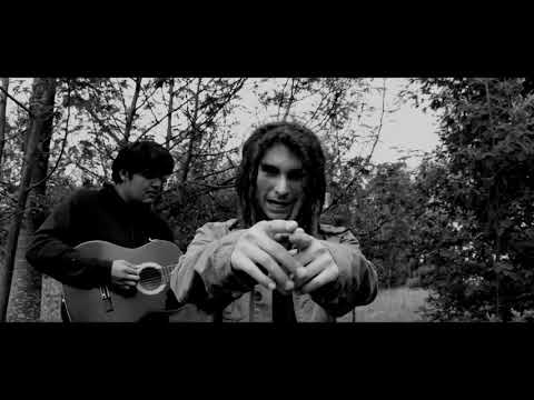 Abundancia  - Daju Lion