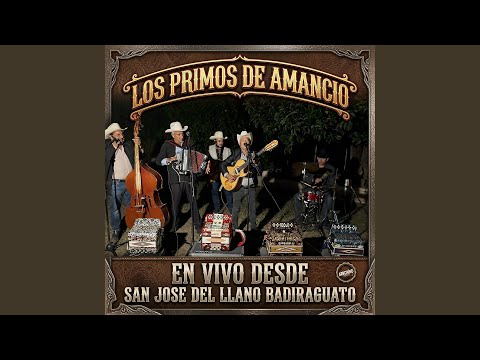 El Corrido Del Sauce (En Vivo)
