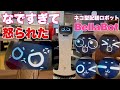 ガスト猫のYouTubeサムネイル