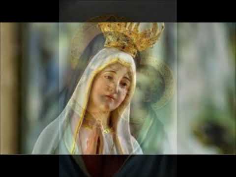 Salve Rainha - Danielle Quirino