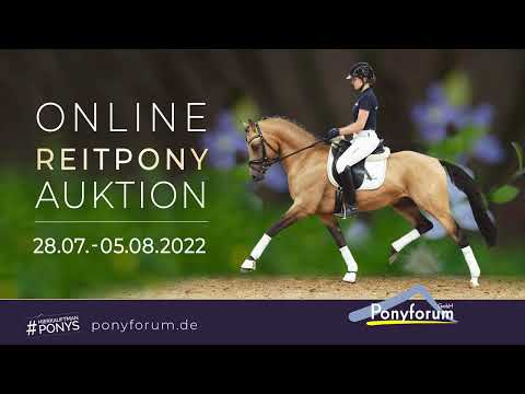 Monalie Stute 2016 v. Bünteeichen Ricardo / Bünteeichen Maringo