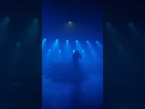 Seven Phoenix Tymek x Urbański Klakson