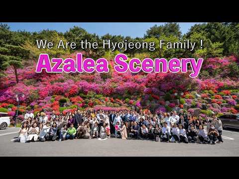Animation_We Are the Hyojeong Family ! 006 [ Azalea Scenery ]