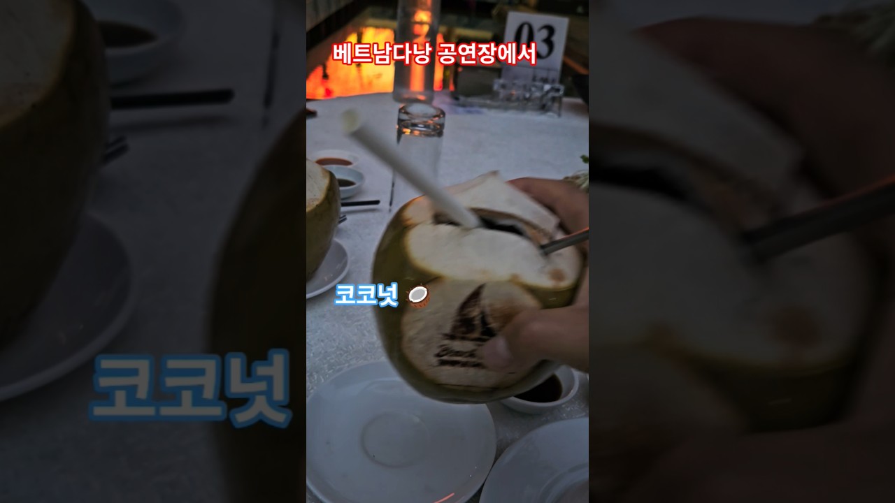 #코코넛 #베트남다낭 #김건모 #사랑해 #shorts #가볼만한곳 #베트남여행 (베트남다낭 어느 공연장에서 …