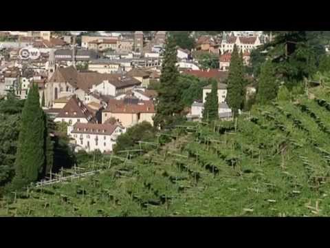 Exploring South Tyrol's Vineyards | Euromaxx