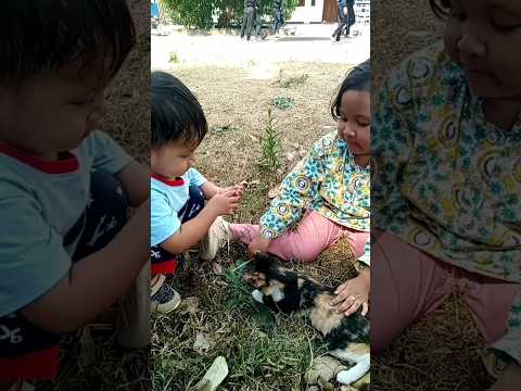 Majidah dan jaudan main kucing
