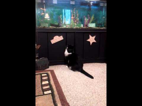 Kineval gone fishin'