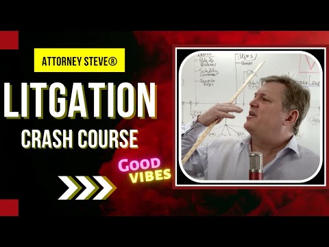 Litigation Crash Course with Attorney Steve®