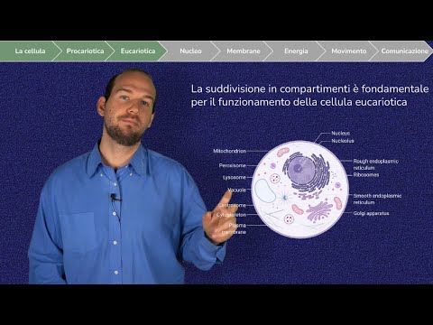 Introduzione alla Cellula. Focus sulla Cellula Procariote