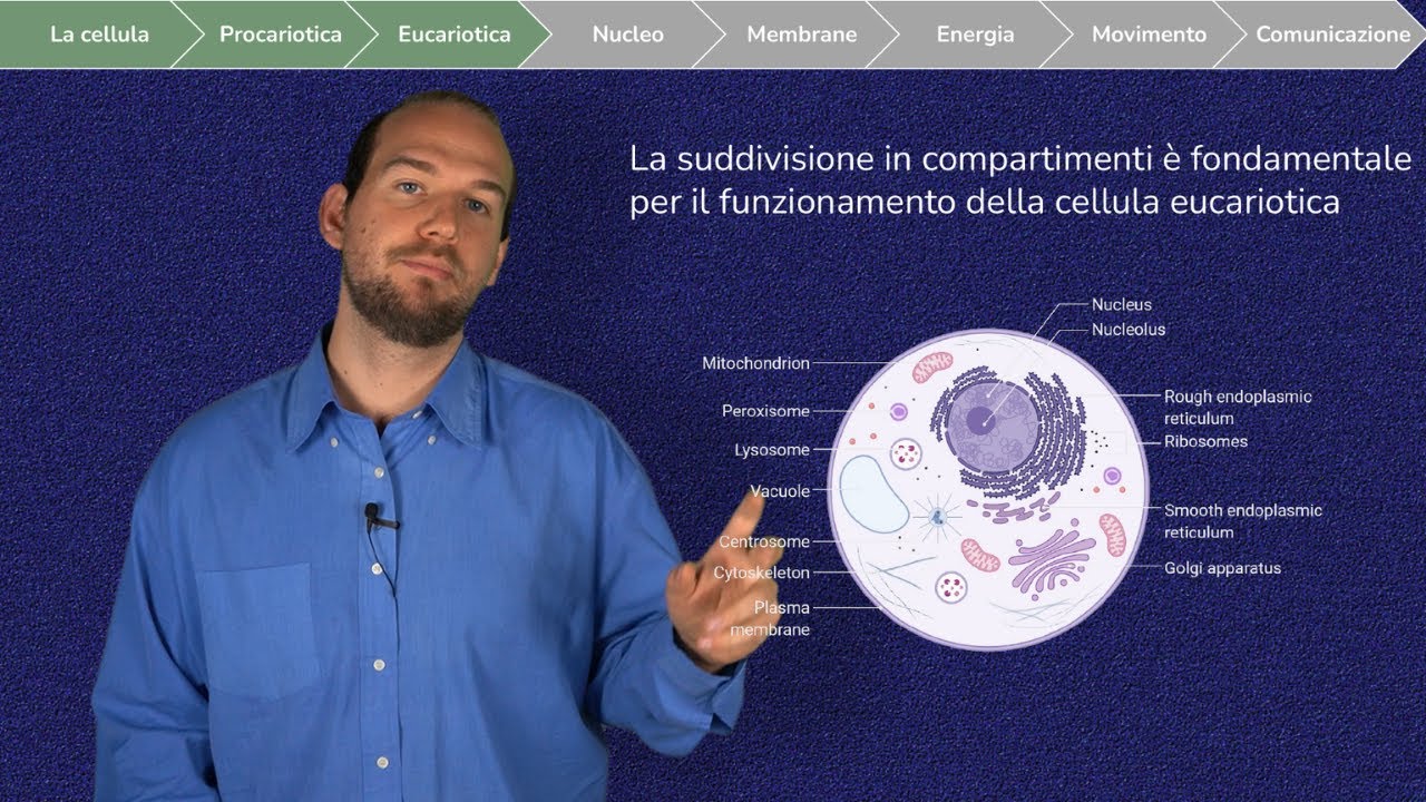 Introduzione alla Cellula. Focus sulla Cellula Procariote