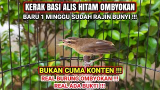 Download lagu QUICKLY SOUNDING BLACK EYEBROW CRUST TREATMENT❗NOT JUST CONTENT❗ mp3 Download lagu QUICKLY SOUNDING BLACK EYEBROW CRUST TREATMENT❗NOT JUST CONTENT❗ mp3